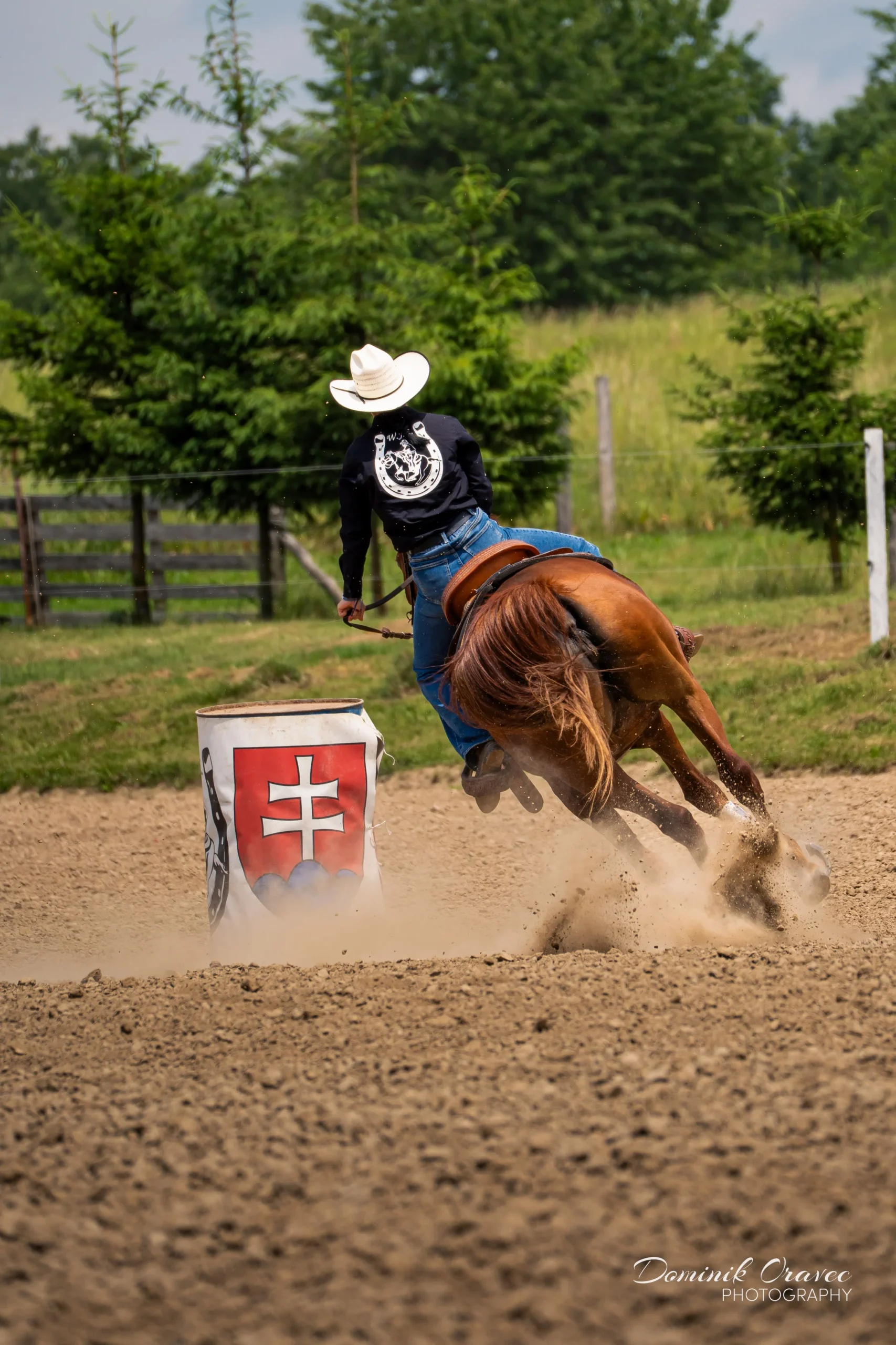 DSC00995_WebP