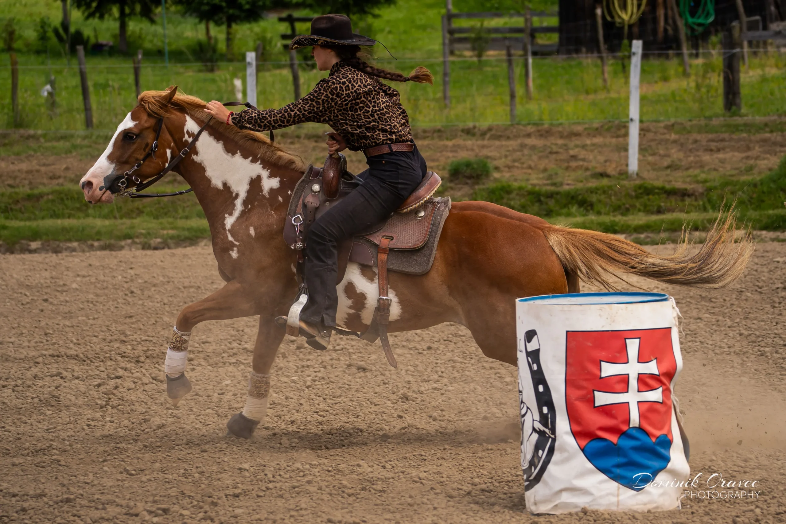 DSC01694_WebP