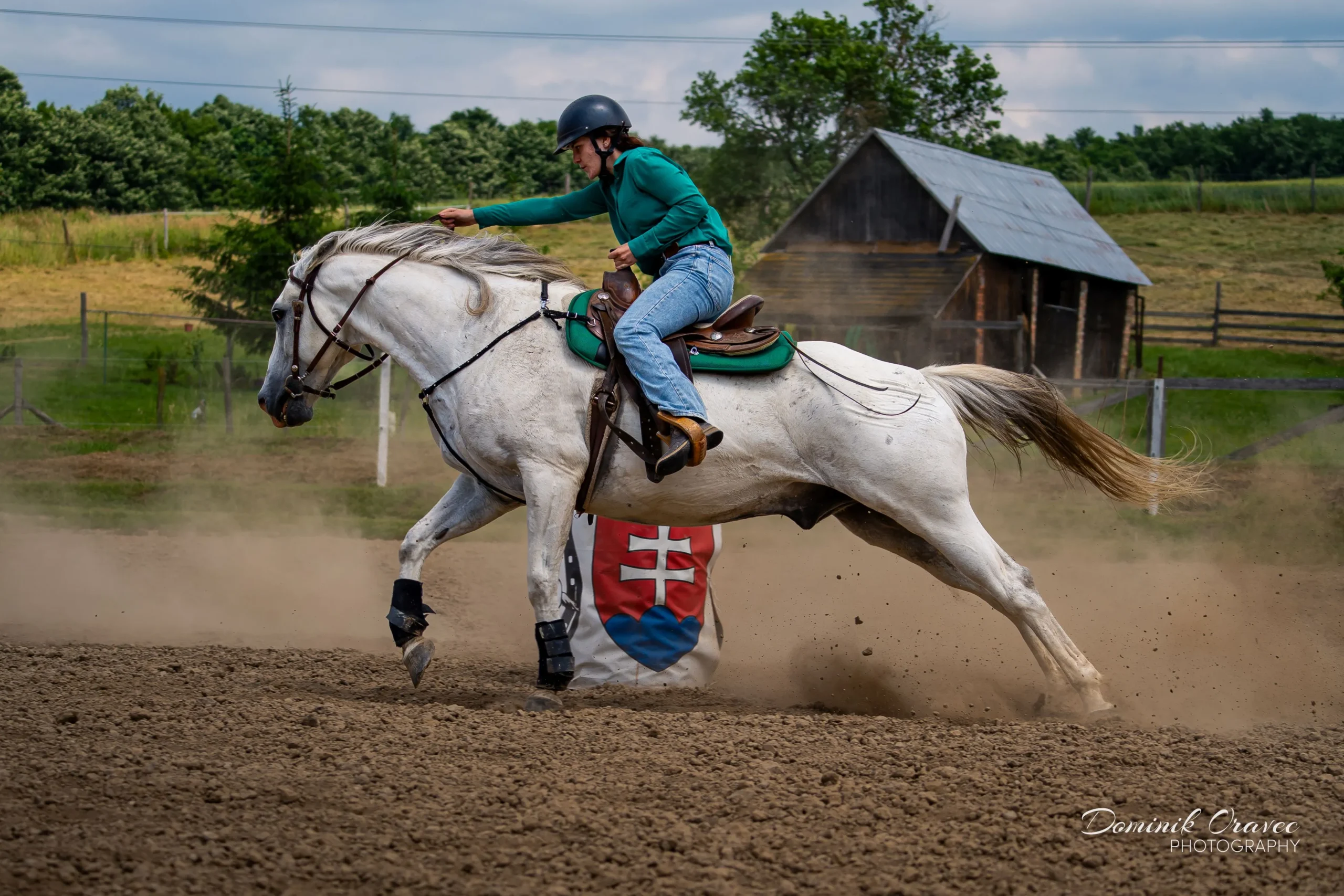 DSC02005_WebP