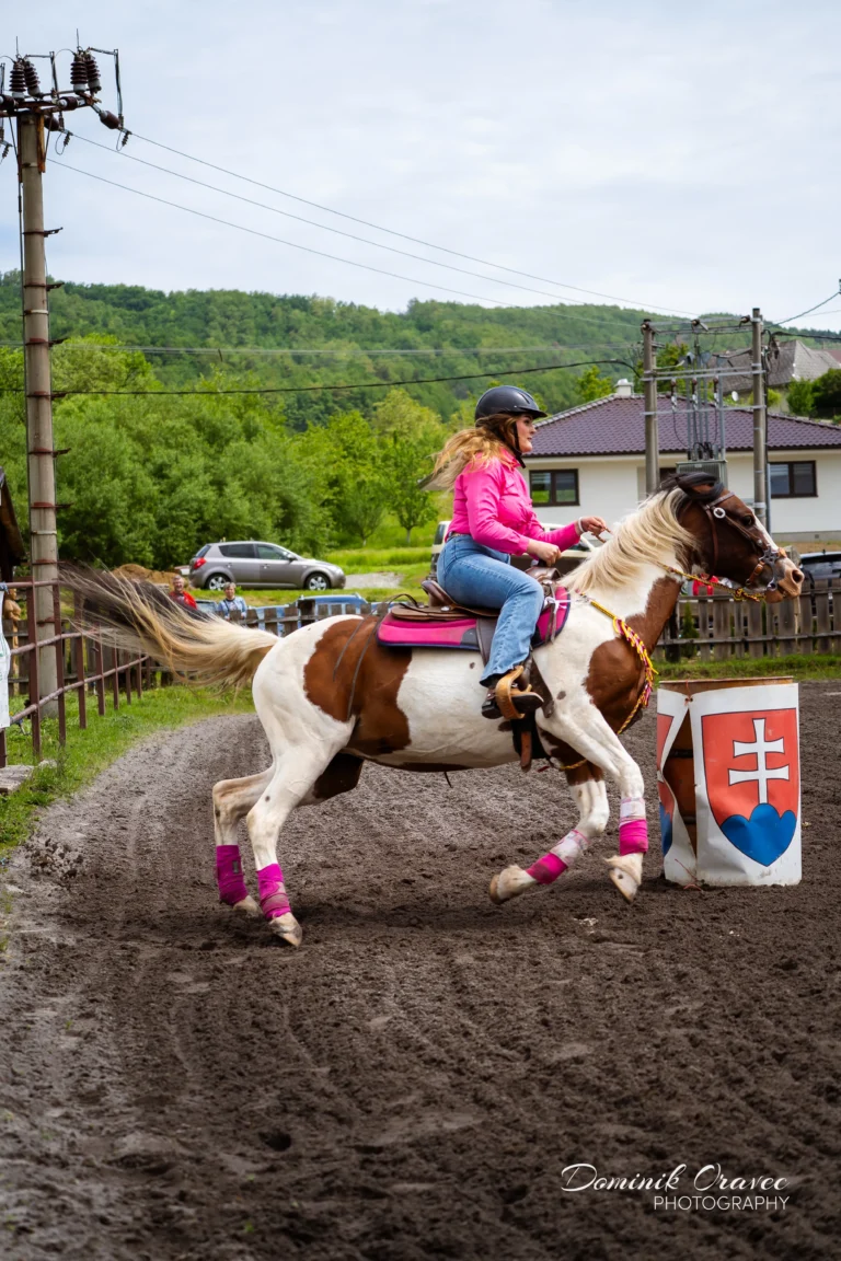 Podzámocký dvor 2025 – westernové preteky WJL, fotka 22