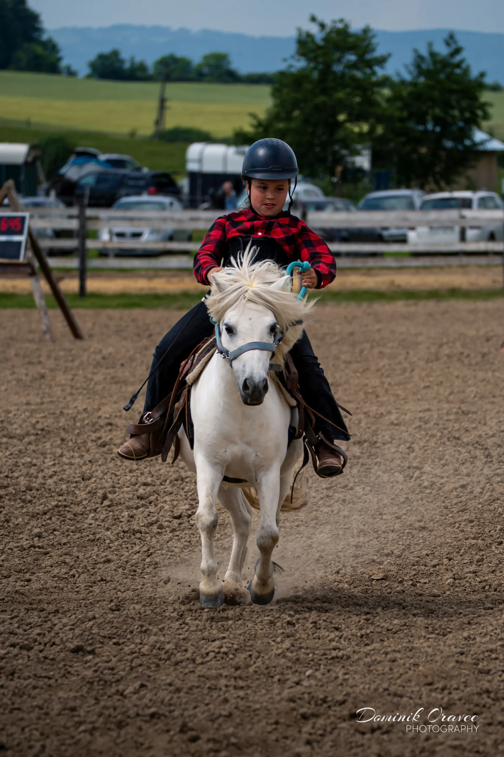 DSC02209_WebP