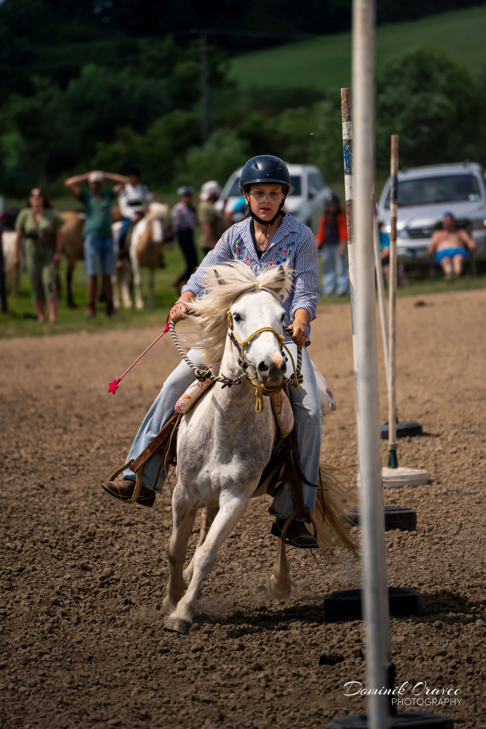 DSC02227_WebP