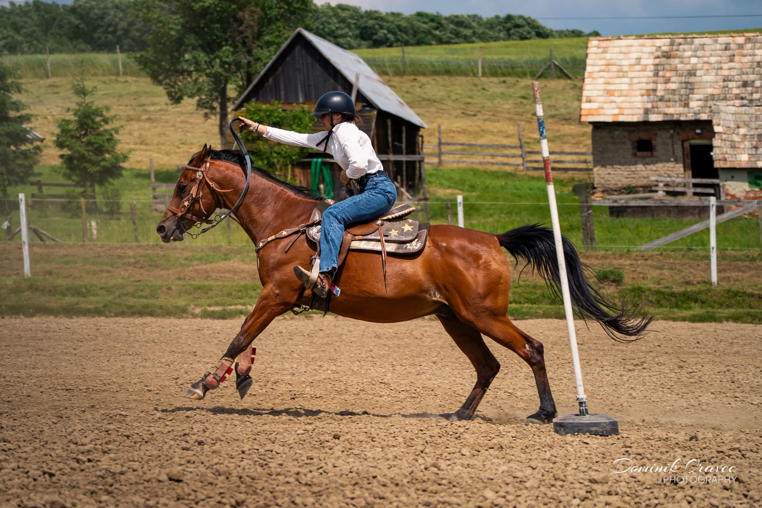 DSC02398_WebP