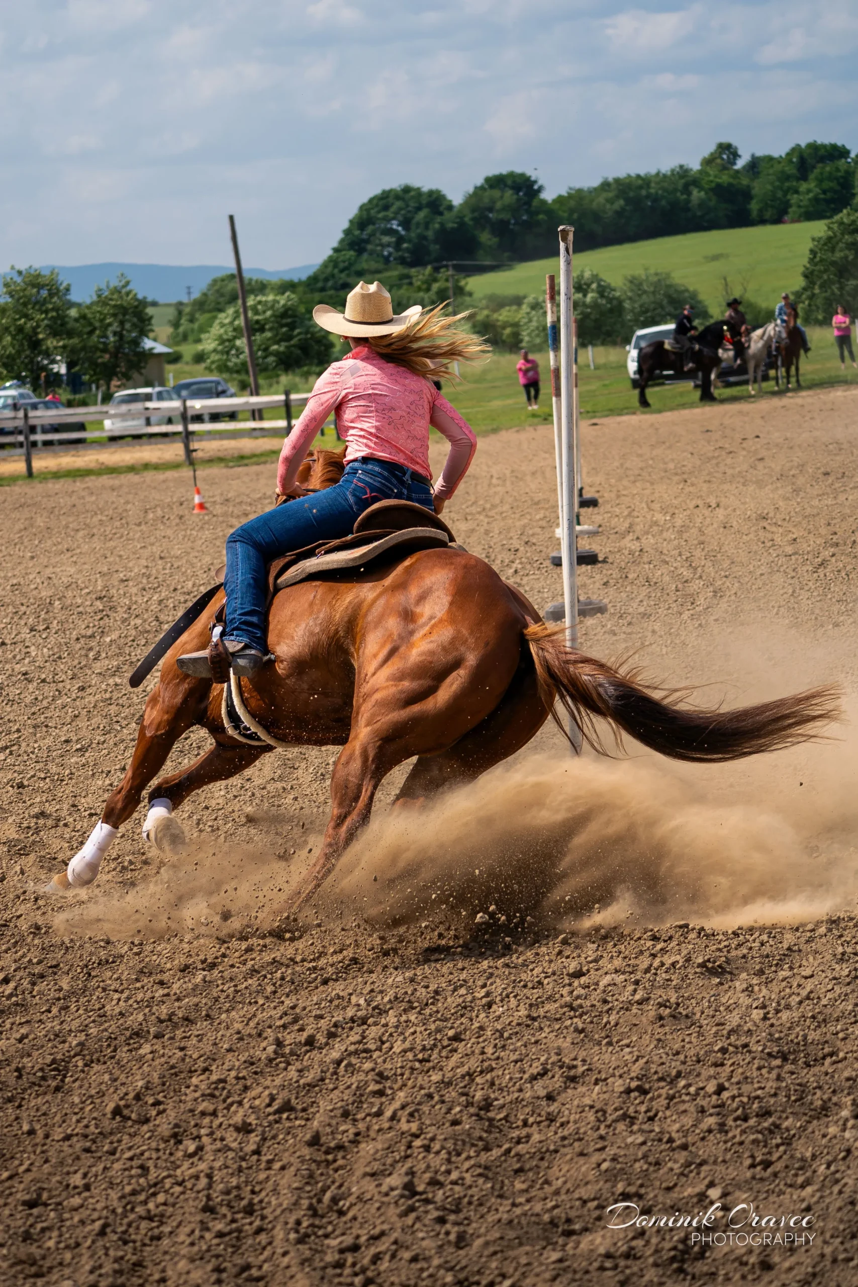 DSC02790_WebP