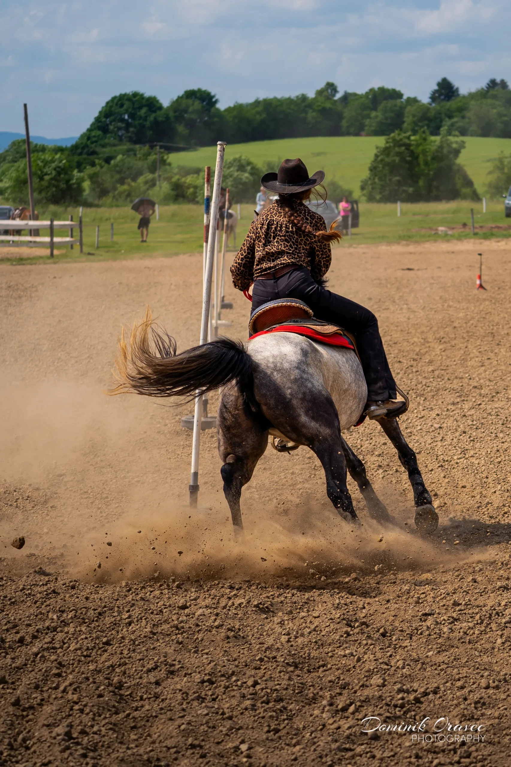 DSC02877_WebP