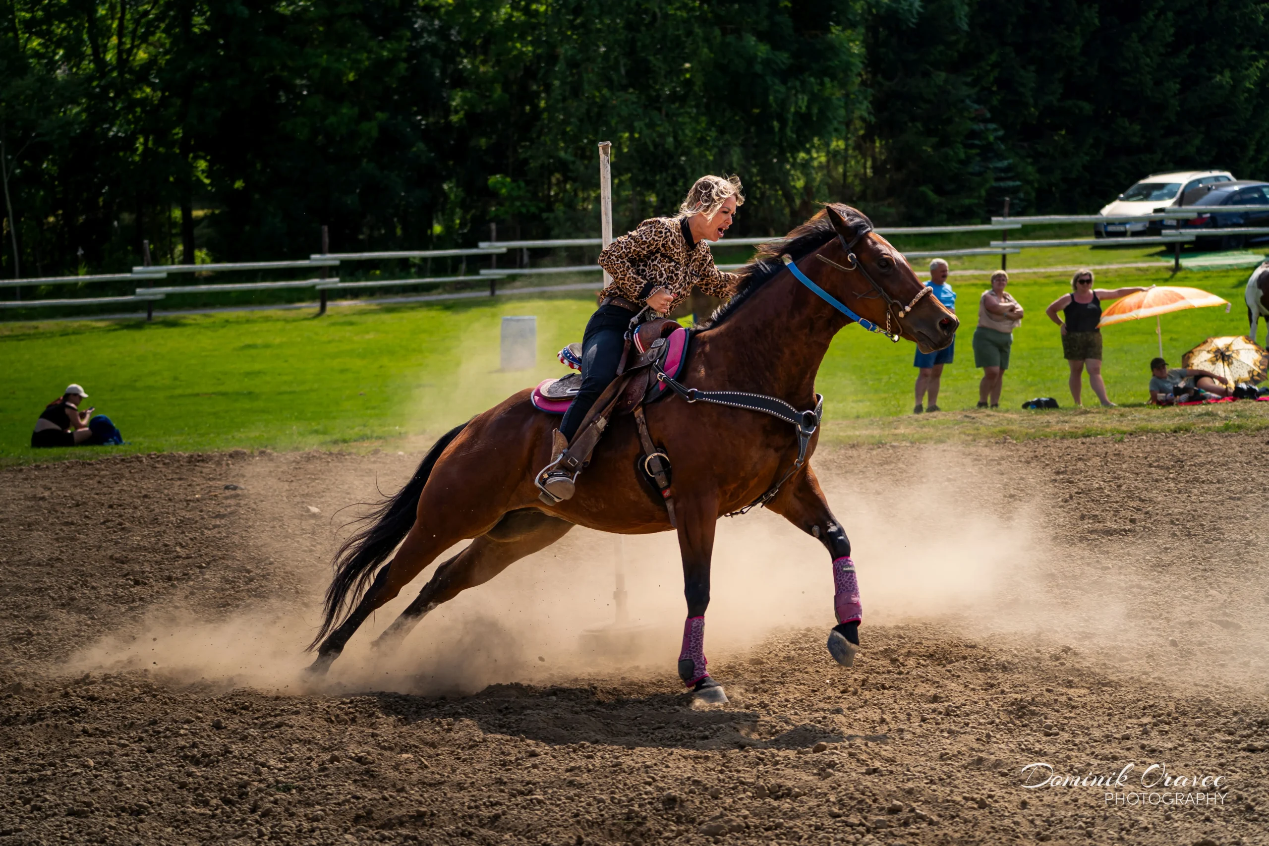 DSC03332_WebP