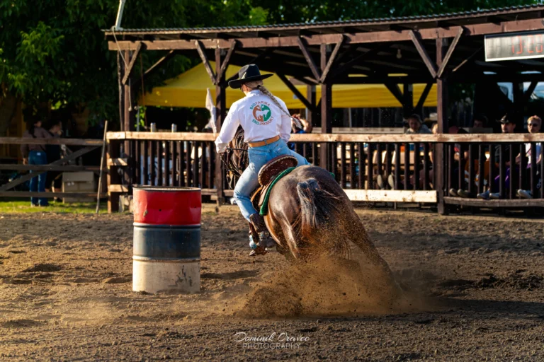 Nýrovce 2025 – westernové preteky WJL, fotka 8