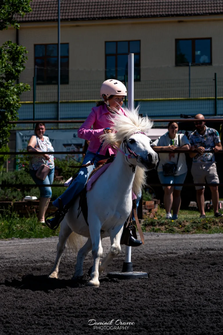 Podzámocký dvor, Podzámčok 23. 5. 2026 – westernové preteky WJL, fotka 33