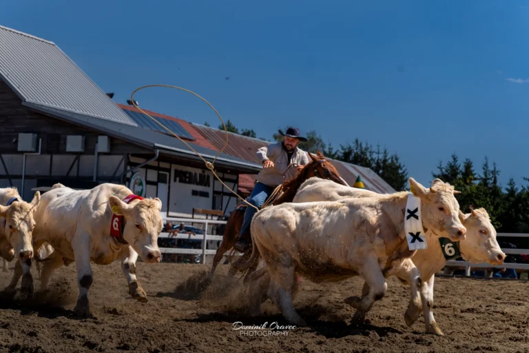 Eko produkt, Kremnické Bane 15.–16. 8. 2026, nedeľa – westernové preteky WJL, fotka 95