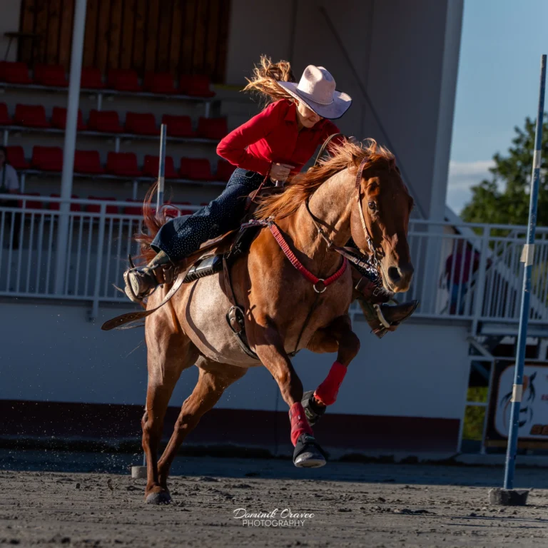 Masarykov dvor, Pstruša – Viglaš 19. 9. 2026 – westernové preteky WJL, fotka 9