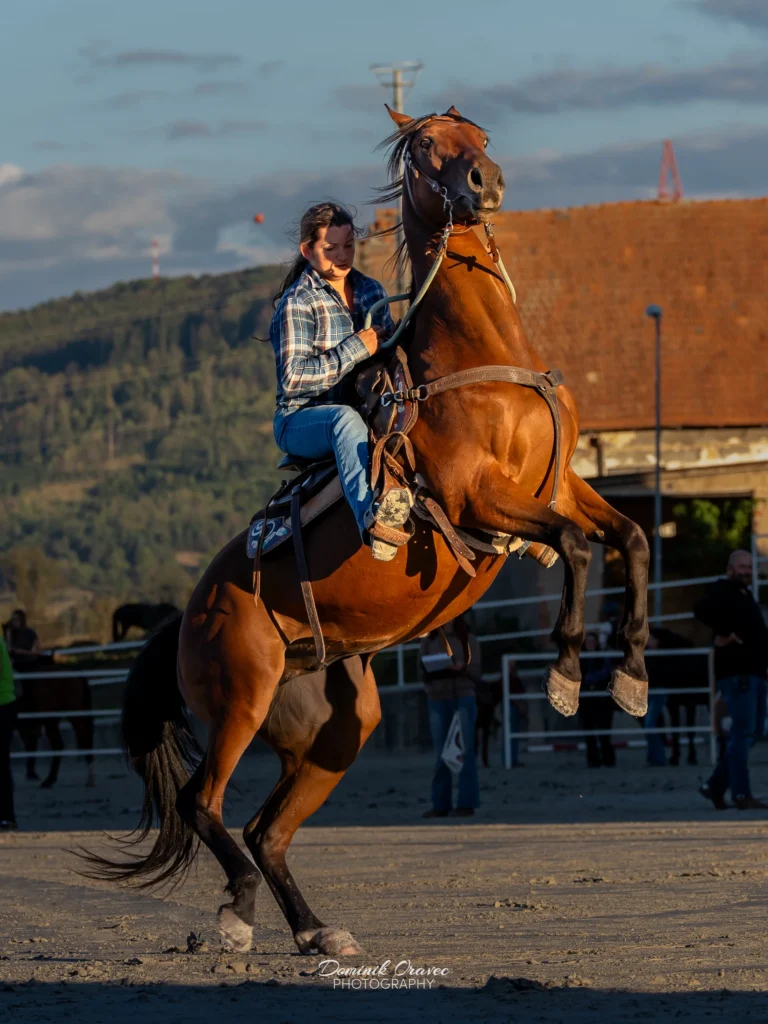 Masarykov dvor, Pstruša – Viglaš 19. 9. 2026 – westernové preteky WJL, fotka 15